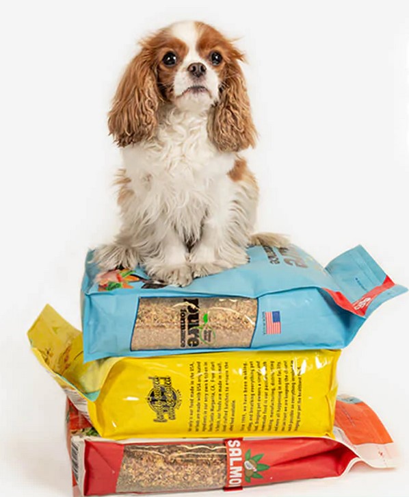 Grandma Lucy’s Demo Dog Lovers of Tarpon